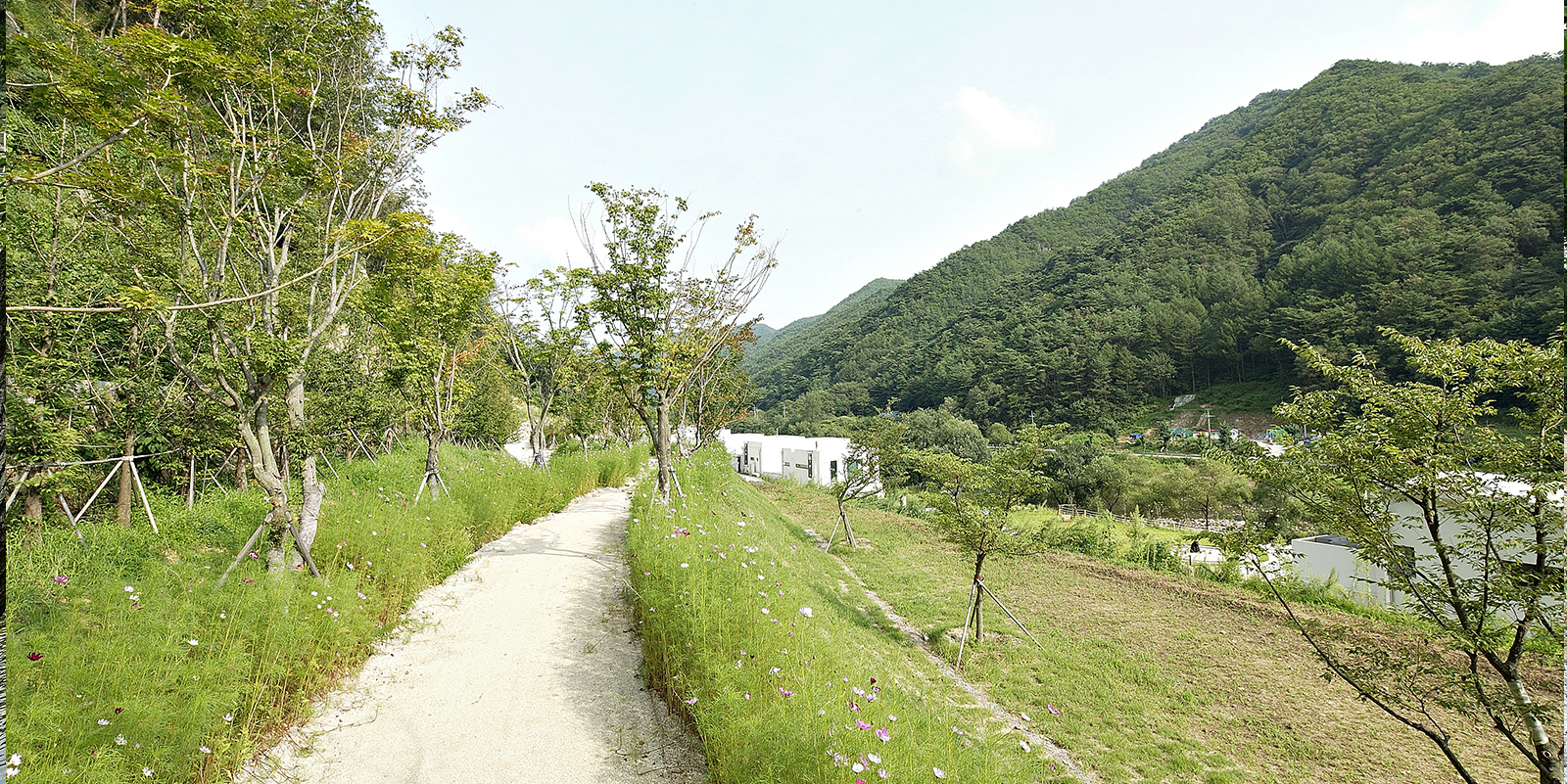 비브릿지 카페